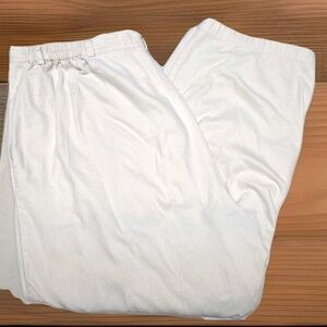 Talbots Women's Pants Beige 20W X 26  Elastic Waist Straight High Rise